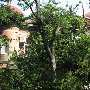 Традиционная крымская архитектура